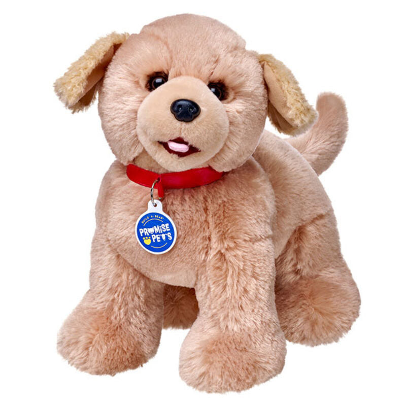 Bab Peluche Golden Retriever - Toysmart_001