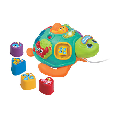 Tortuga A Cuerda Clasifica Y Aprende- Wf - Toysmart_003