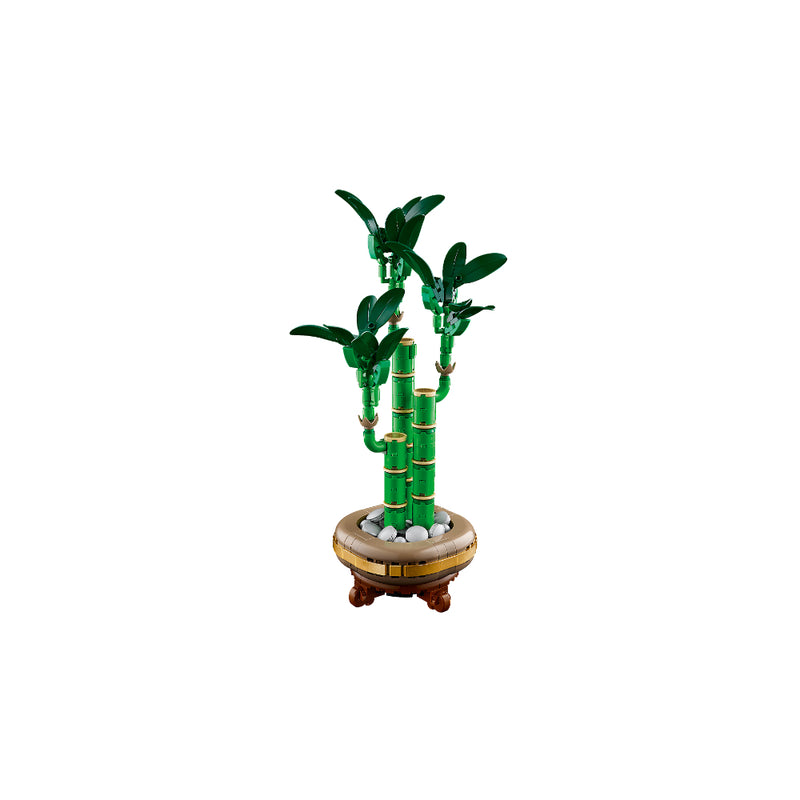 LEGO® Bambú De La Suerte - Toysmart_005