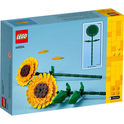 LEGO®Iconic: Girasoles - Toysmart_003
