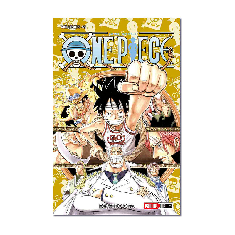 One Piece N.45 QMOPI045 Panini_001