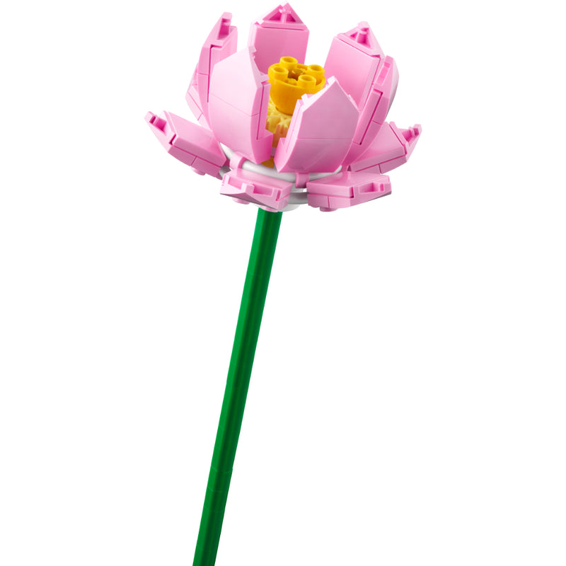 LEGO®Iconic: Flores De Loto - Toysmart_004