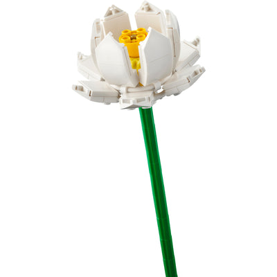 LEGO®Iconic: Flores De Loto - Toysmart_005