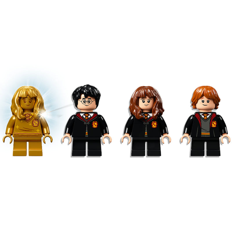 LEGO® Harry Potter™: Hogwarts™: Encuentro Con Fluffy (76387)