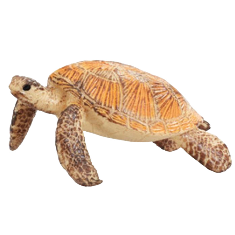 Addo Fig Animales Marinos-Tortuga_001